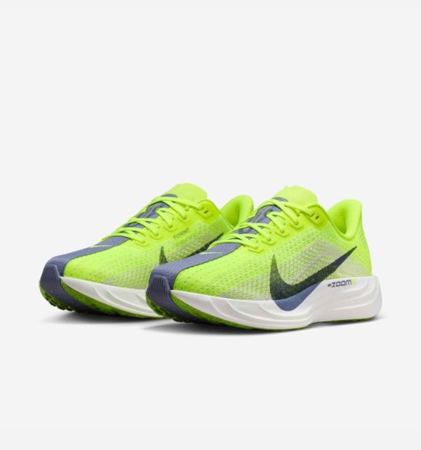 Nike Pegasus